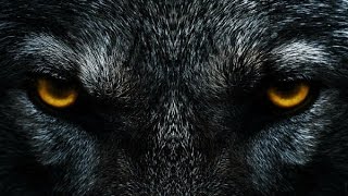 New Monster Wild Scary Horror Movies 2017 Full Movie English Film