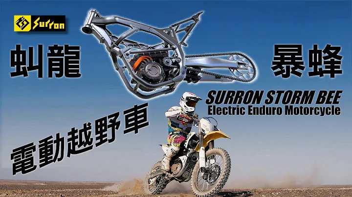 虯龍暴蜂 電動 林道車 越野車 Sur-Ron STORM BEE Electric enduro motorcycle - 天天要聞