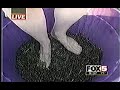 fox news blooper