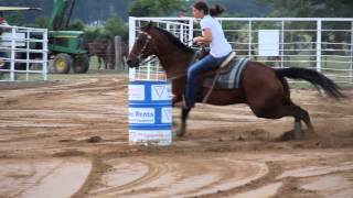 Cm On Daphne Kellick Arena