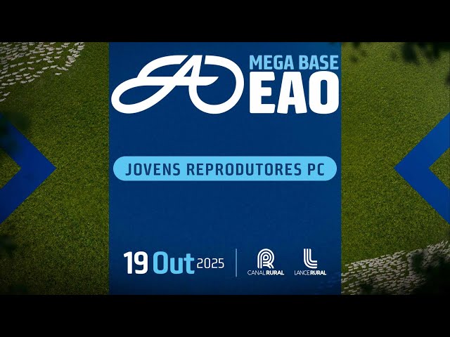 LOTE 51