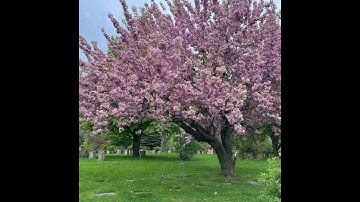 First video!! introduction