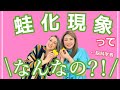 最近よーく聞く蛙化現象を脳科学の視点から 中野信子さんのお話おもしろい 最近よーく聞く蛙化現象を脳科学の視点から 中野信子さんのお話おもしろい