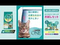 猫の健康に大切な水分摂取。「ピュリナ ワン」ミックスフィーディングで。
