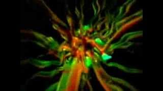 THE FUTURE SOUND OF LONDON &quot; MAX &quot; 1996 DEAD CITIES FSOL (ORIGINAL VIDEO)