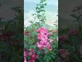 Музыка Сергея Чекалина, красивая природа, релакс, водопад, музыка для души #4