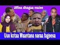 Jawaden Kalees Araas Boruus Yoomiyuu Saahibba Kiyyaa 