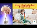 Human Brain Facts For Kids | Interesting Facts About The Human Brain | Science For Kids