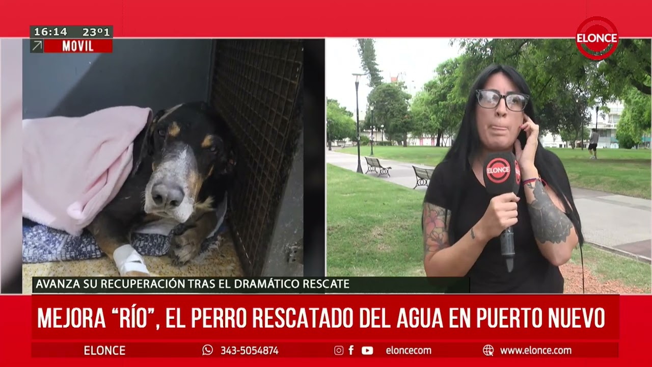 Mejora el estado de salud de 