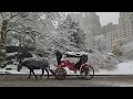 New York City Christmas Snow 2017