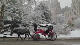 New York City Christmas Snow 2017