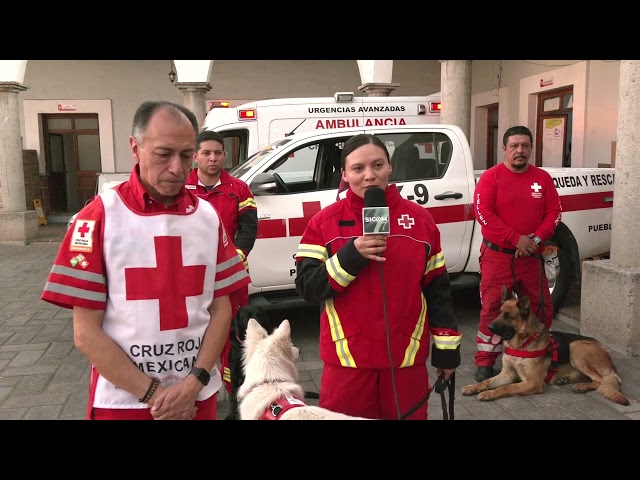 🐕🚑Binomio canino de la Cruz Roja