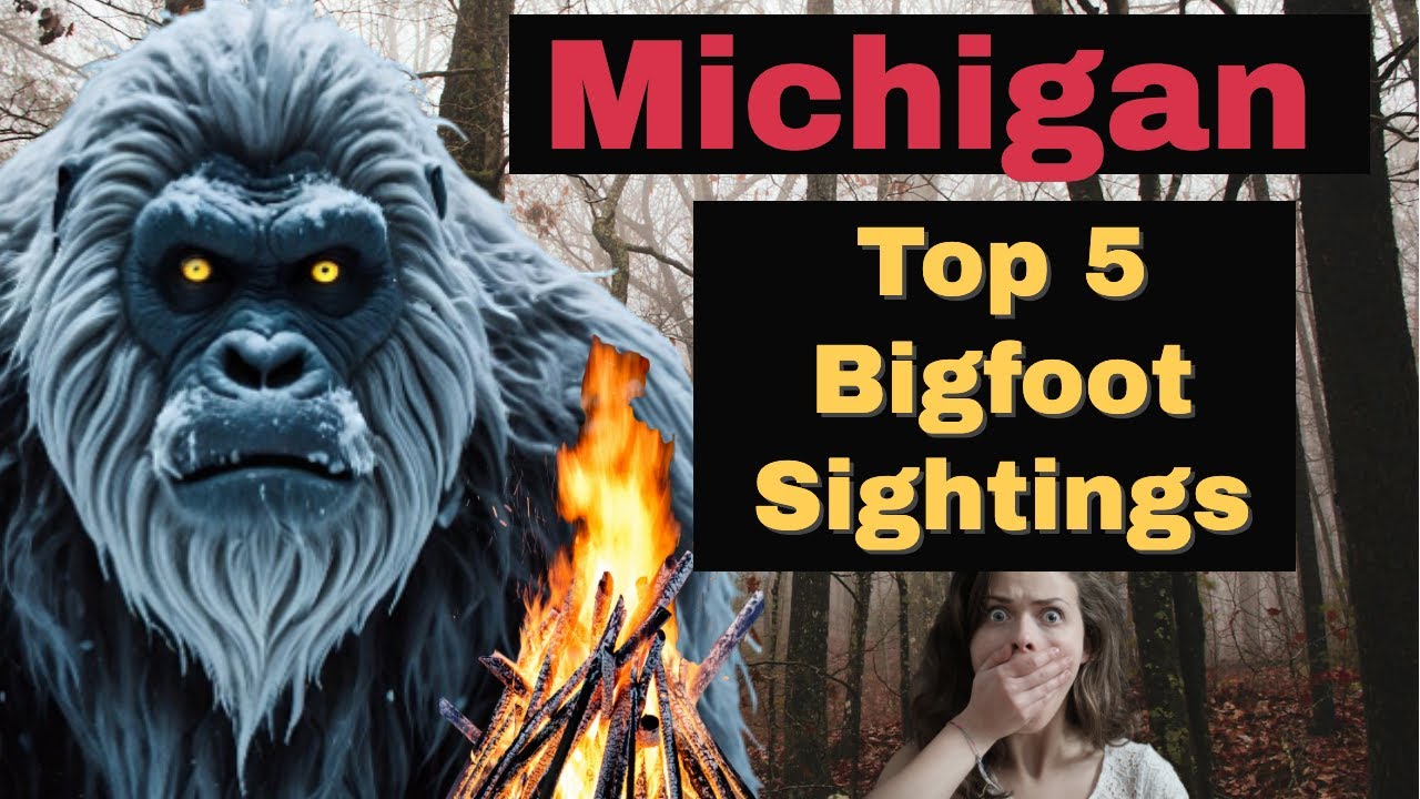 Top 5 Michigan Bigfoot Sightings! Creepy, Hominid Creatures Haunt the deep woods and dark swamps.