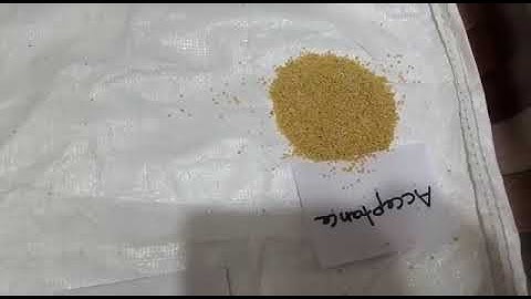 Millet Color Sorting Machine