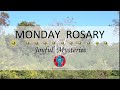 Monday Rosary • Joyful Mysteries of the Rosary 💙 October 30, 2023 VIRTUAL ROSARY - MEDITATION