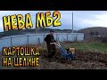 Нева МБ2 и посадка картошки на целине.