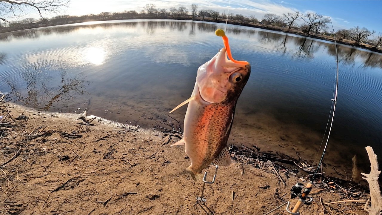 ЛОВЛЯ ФОРЕЛИ! (КОНЕЦ СЕЗОНА)