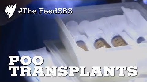FMT: Fecal Donations & Poo Transplants I The Feed