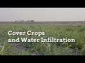 Cover crops to improve soil structure and water infiltration  practical cover croppers