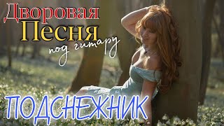 ПОДСНЕЖНИК / дворовая песня под гитару