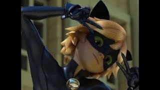 Miraculous Chat Noir Best Cute Moment Clip Youtube