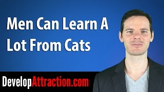 Men Can Learn A Lot From Cats