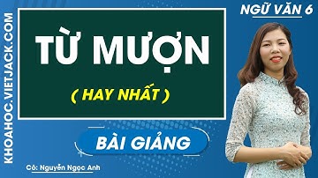 Từ mượn - Ngữ văn 6 - Cô Nguyễn Ngọc Anh (HAY NHẤT)