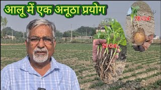 466. आलू 🥔. जैविक और रासायनिक कीटनाशक. अधिक लाभदायक? 