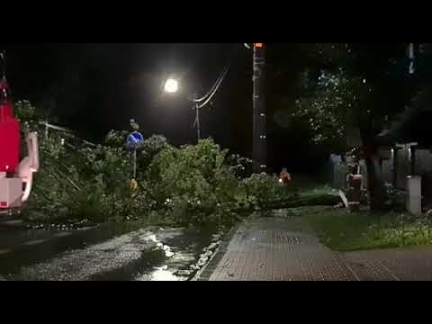 Wideo: Płonąć Nad Tymi Pięknymi Zrzutami Ekranu Z Drogi Do Lasu