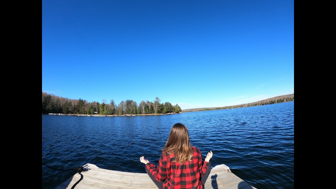Cabinscape - Haliburton Forest Micro-Cabin