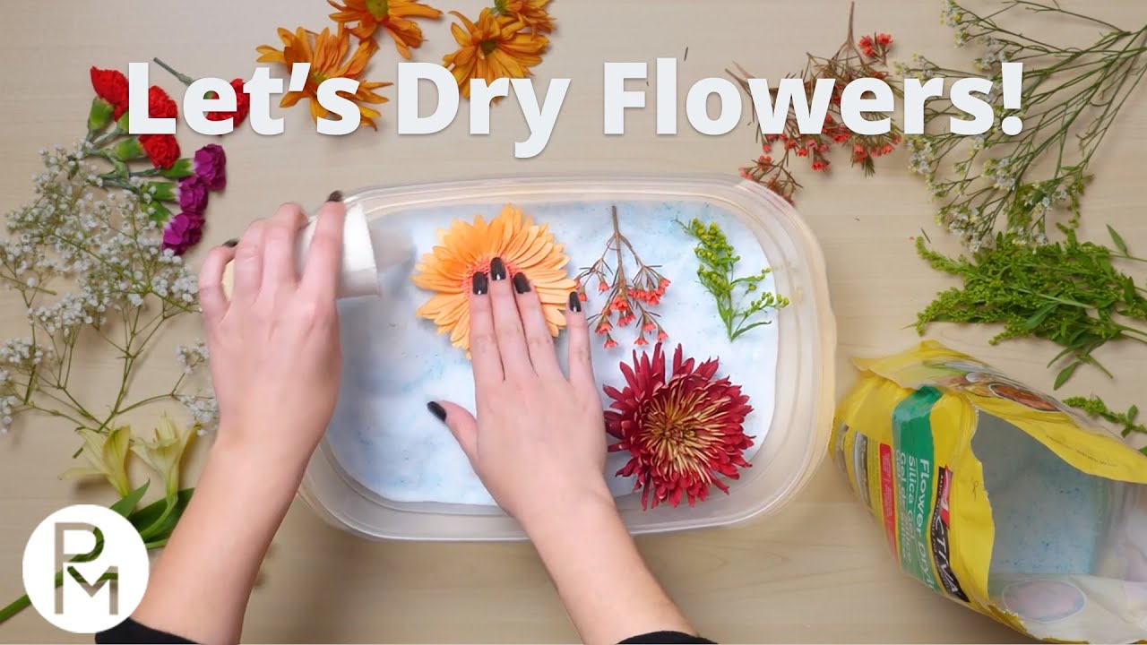 Drying and Preserving Flowers for Resin