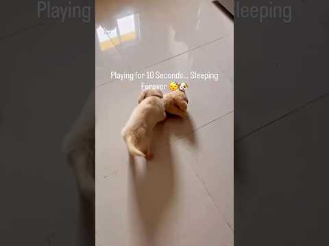 Https Www Instagram Com Reel DSeLsW8EvLq4T5bbCmlyO6MXcd SEdODINydUw0 Igsh D2tudjNsbmR6ZjFw