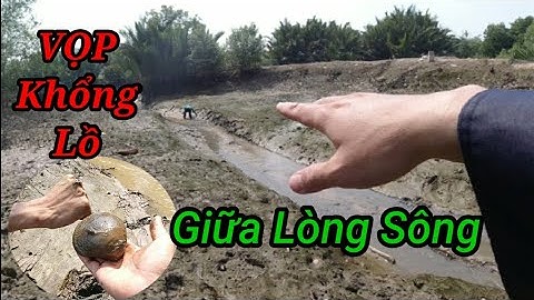 Bắt VỌP Khổng Lồ Giữa Lòng Sông Phần 1 l Trải Nghiệm Bất Ngờ - Catch Seafood In Special Place #37