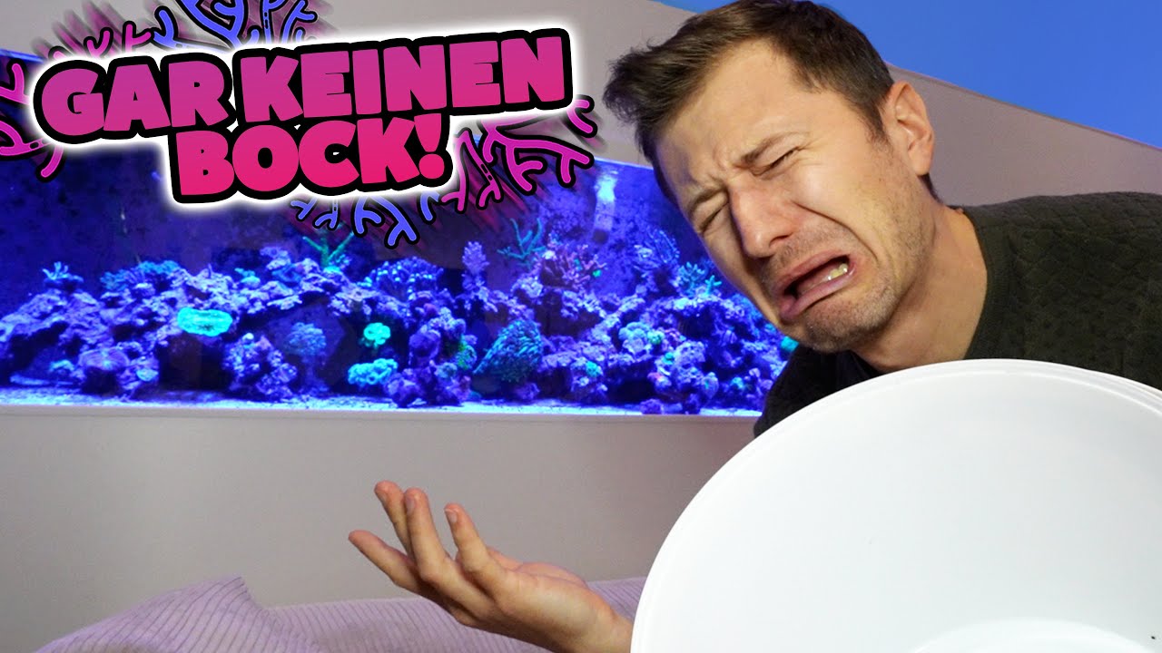 ALLES muss wieder RAUS!