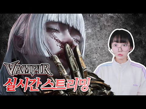 다냥이