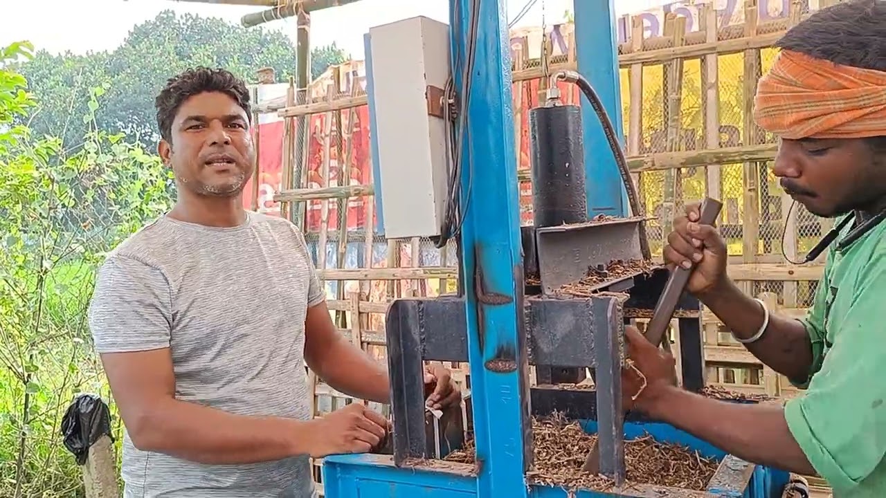 मूंगफली का भूसा peanut hay#peanut hay#goatfarming +917717746869