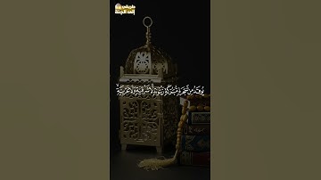 الله نور السماوات والأرض #سورة_النور #ياسر_الدوسري #trend #trending #explore #قرآن #اكسبلور #ترند