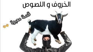 بائع الخروف و اللصوص الأربع | قصة معبرة عن واقعنا