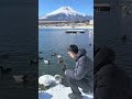 Mount Fuji in winter #japan  #mountfuji #mountfujiview