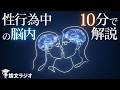 【完全解説】セックスの脳科学。人間と動物の違いとは？ | 論文解説