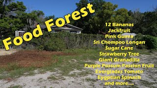 Food Forest March 29 2024 by FurFeathersandFlowers 60 views 1 month ago 17 minutes