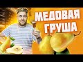 Нектар богов  Медовая груша   Домашний грушевый ликер / настойка на груше