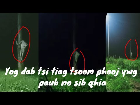 Video: Dab Tsi Txhom Ntes Dab Tsi. Mormyshka - Zoo Ib Yam Li Mormysh