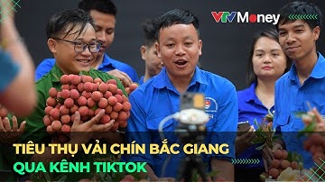 Tiêu thụ vải thiều Bắc Giang qua Tiktok | VTVMoney