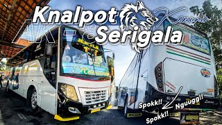 'ARTIS MADURACE VIRAL' KNALPOT GALAK !!! | Trip Akas NR 'Kemunir' | Sumenep - Surabaya