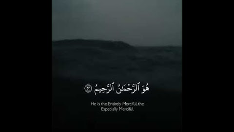 سورة الحشر ، احمد النفيس