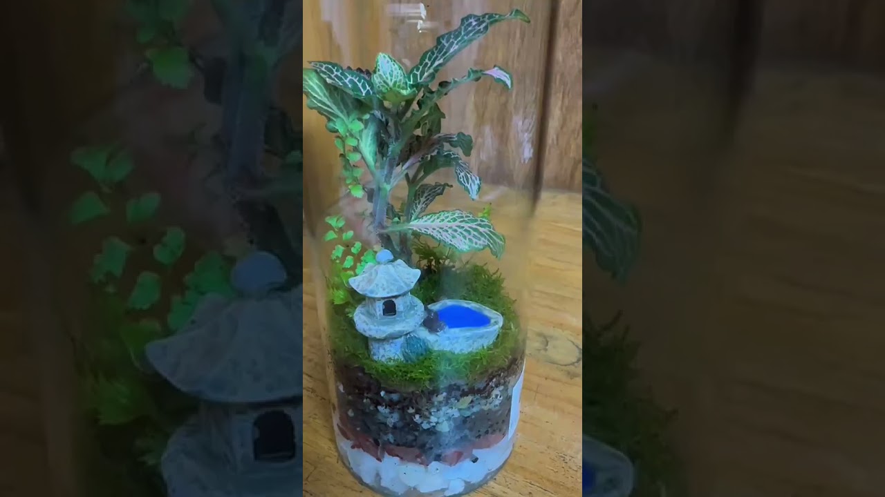Terrarium Natural