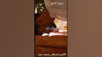 آيات بينات من سورة الحج للقارئ مصطفى جيد