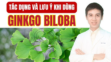 Ginkgo Biloba Có Tác Dụng Gì ? Ai Nên Dùng, Ai Nên Hạn Chế ❗| Dược sĩ Đạt