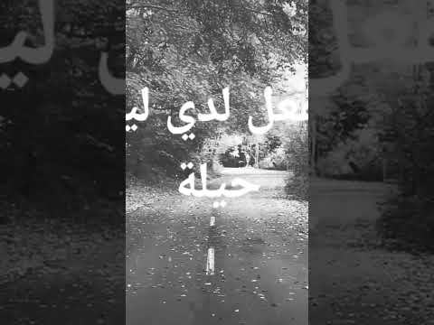 ايناس ايناس رائعة محمد رويشة